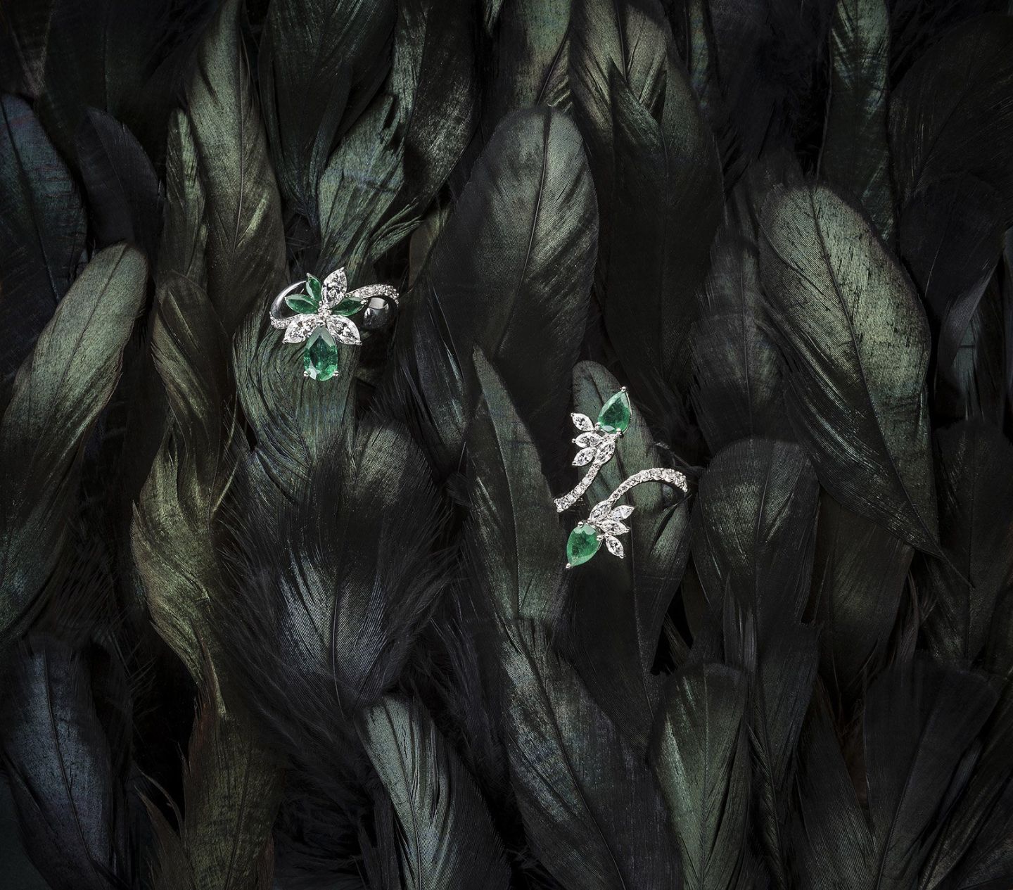 Ürün & Still Life — Tolga Özdemir