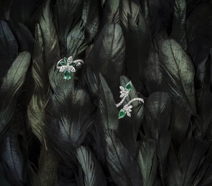 Ürün & Still Life — Tolga Özdemir